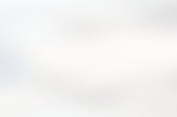 奥宾球迷(mí)俱乐部：追(zhuī)随拜仁慕(mù)尼黑客场征戰(zhàn)41年