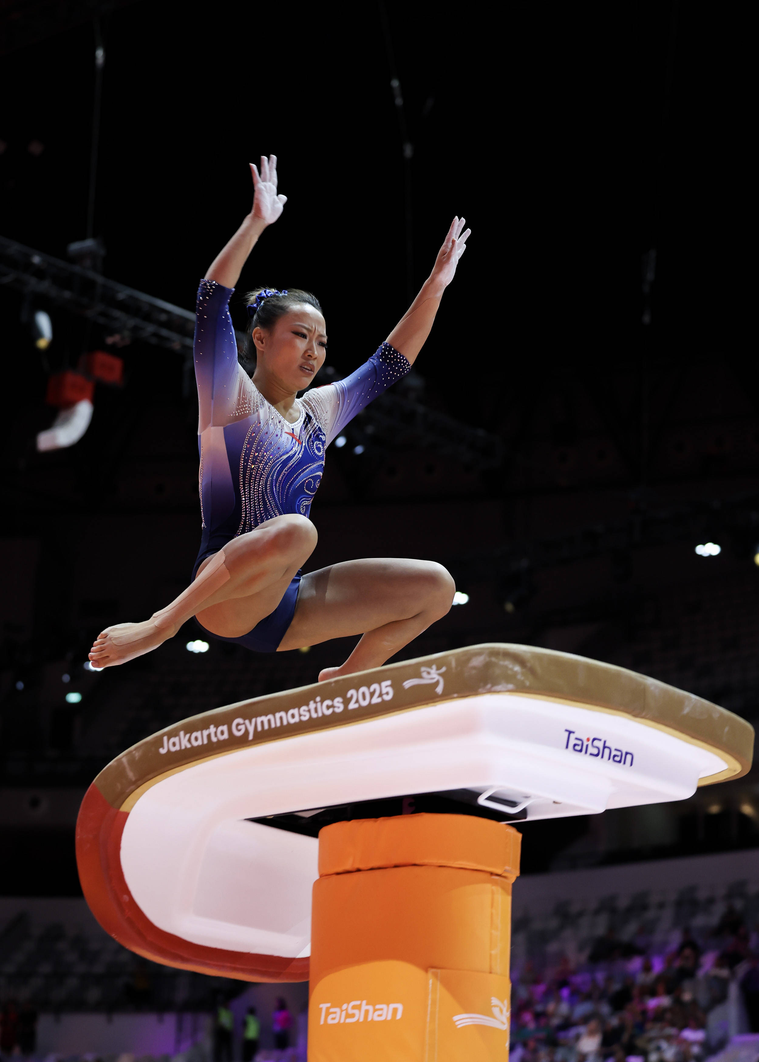 （体育）体操——世锦赛：女子跳马决赛赛况